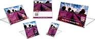 Calendar Case SAMPLES KIT